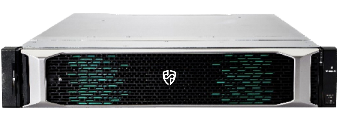 Система хранения данных Русский Щит Sigma DF6300