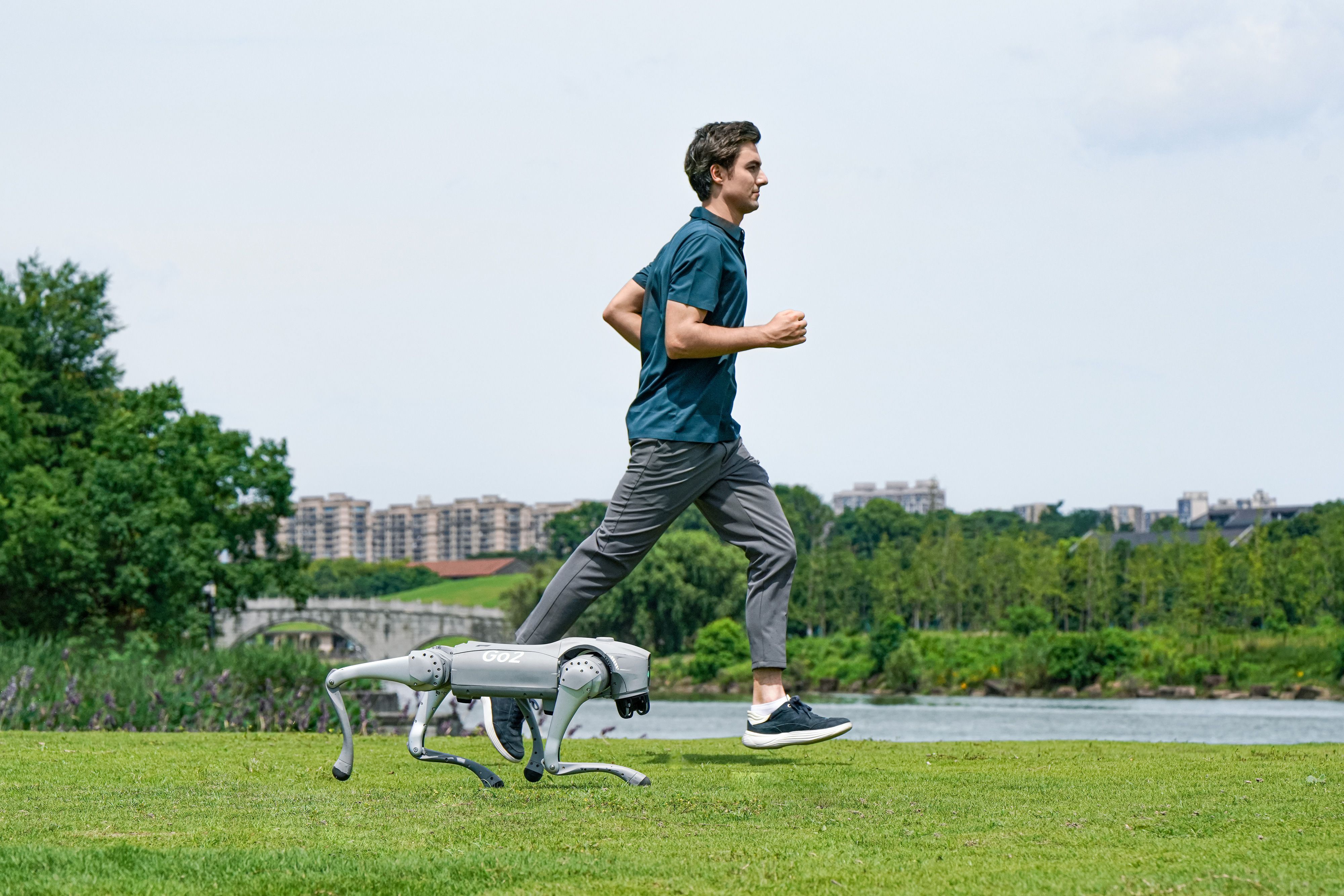 Робот Unitree Go2 Air