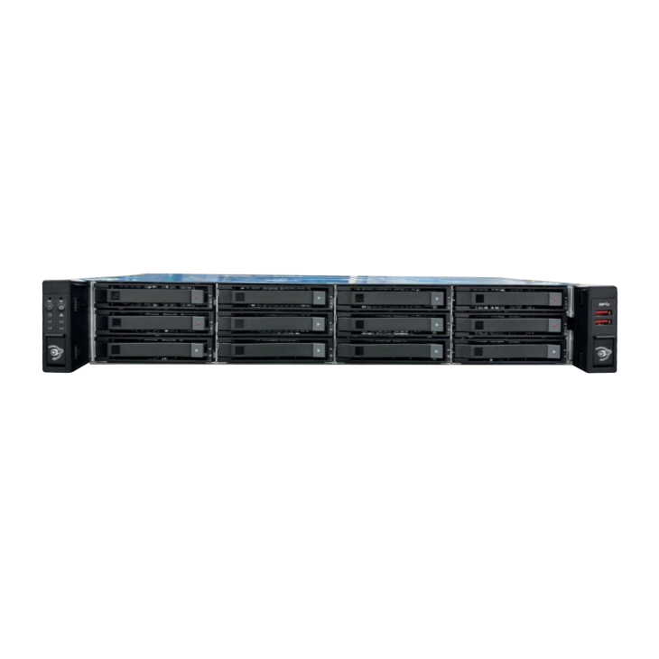 Сервер INFERIT RS212 R1G2D24R2