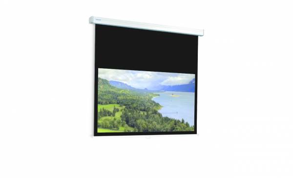 Экран Projecta ProScreen 165х220 см (103"), High Contrast