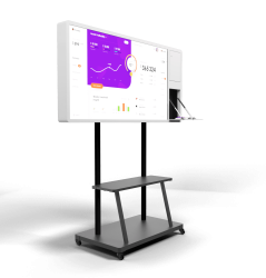 Интерактивные панели BM Storm S (с документ камерой)