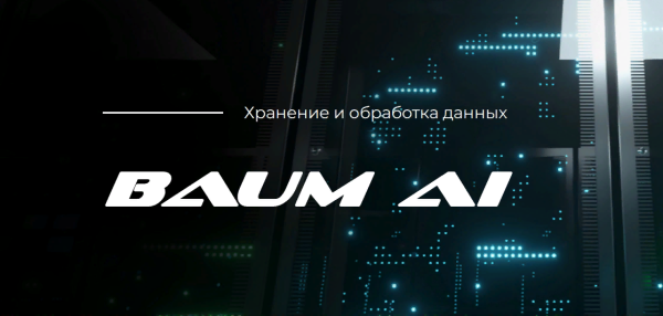 Программное обеспечение СХД BAUM SWARM AI