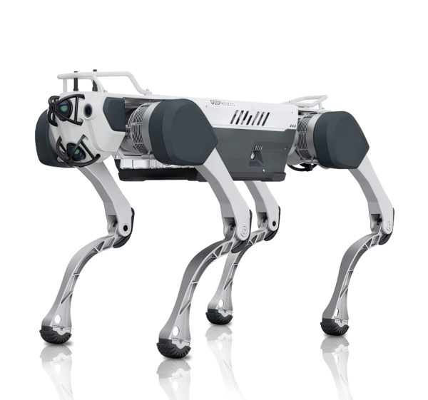 Робот Deep Robotics X30 Basic