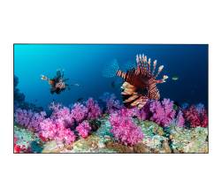 Профессиональная панель EliteBoard PK555FFLN