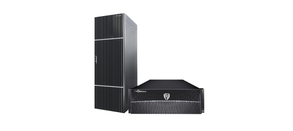 Система хранения данных Русский Щит Omega DF 8006