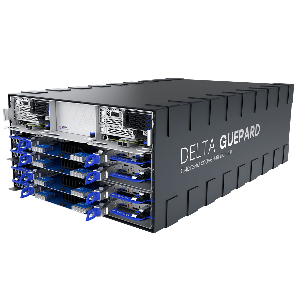 Система хранения данных Delta Guepard