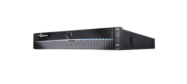 Система хранения данных Русский Щит Omega DF3006