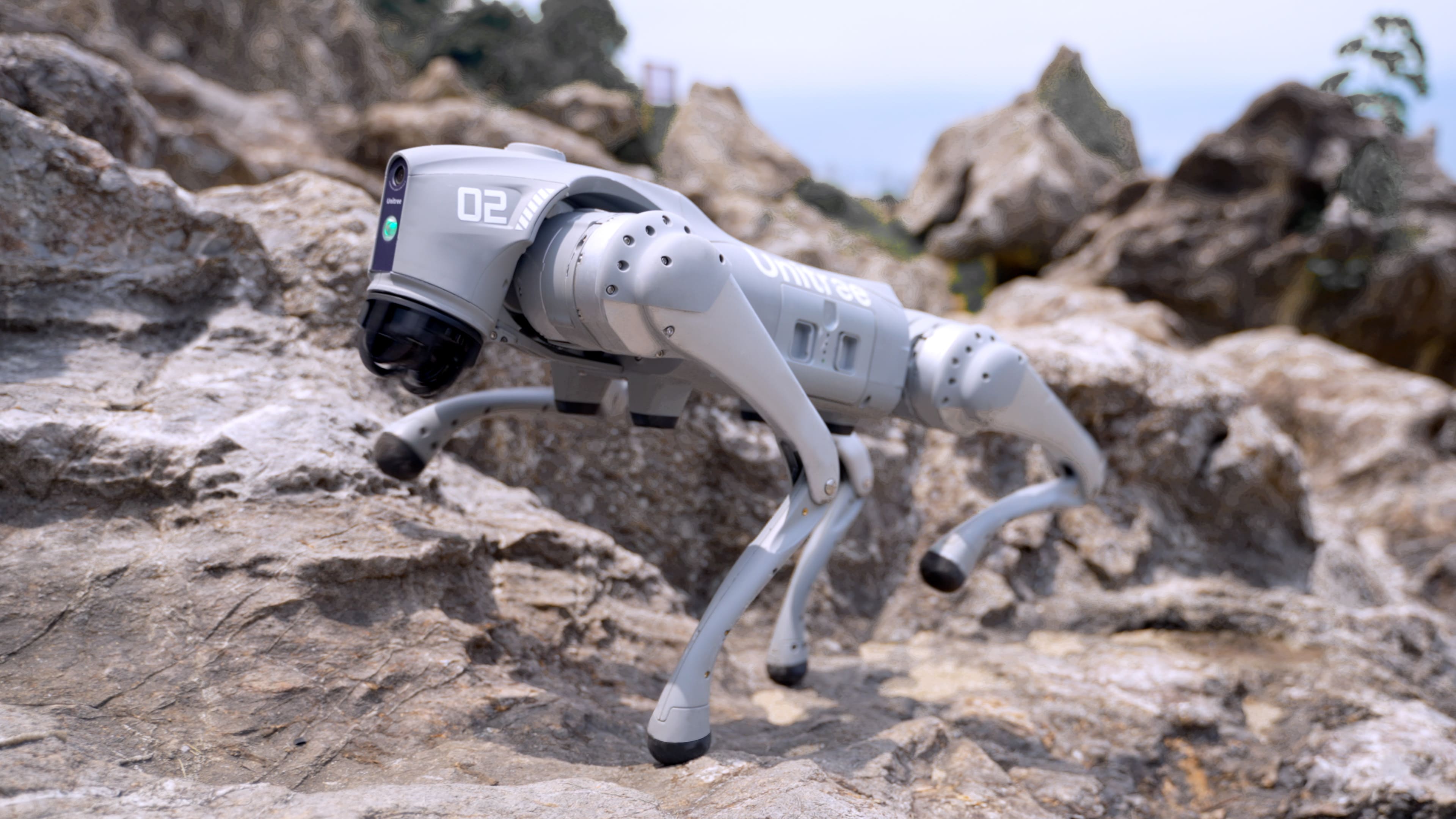 Go robots