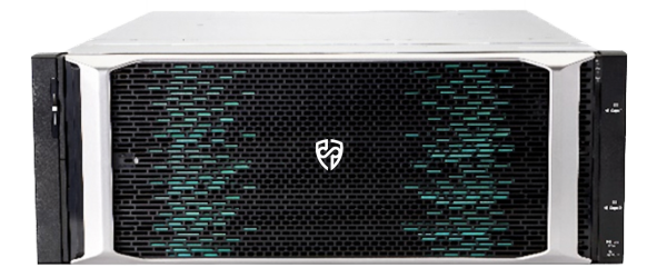 Система хранения данных Русский Щит Sigma DF6300