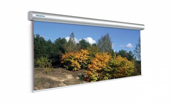 Экран Projecta Master Electrol Matte White