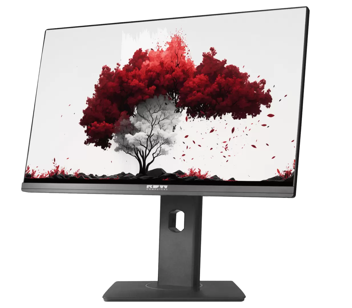 Монитор RDW 2402K