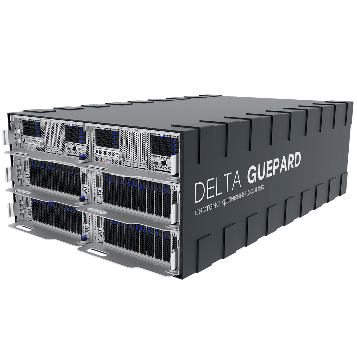 Система хранения данных Delta Guepard