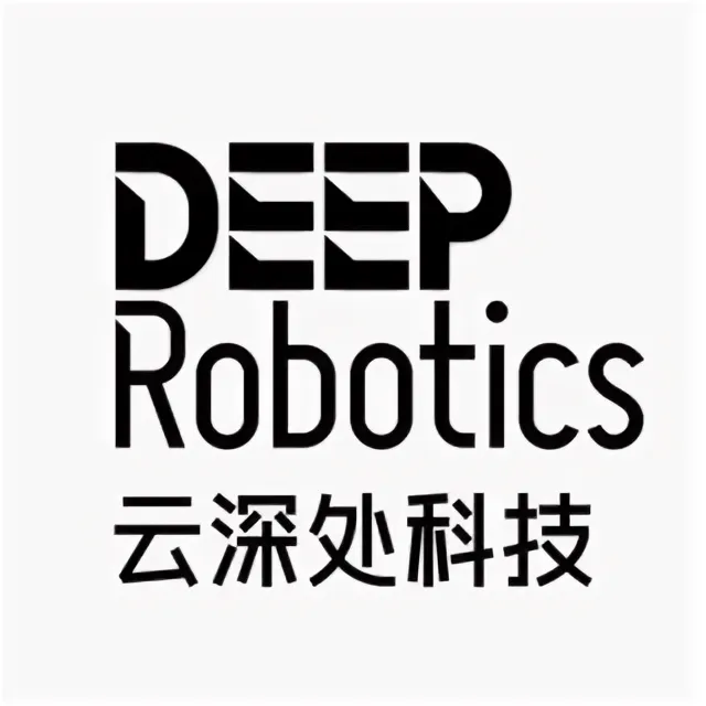 Deep Robotics