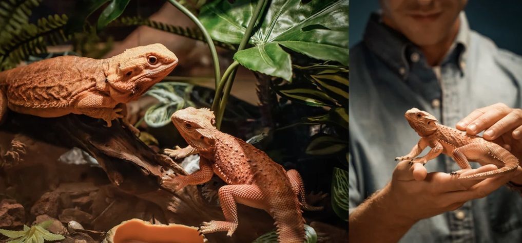 3D принтер Anycubic Photon M5s