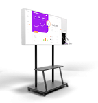 Интерактивные панели BM Storm S (с документ камерой)