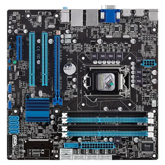 NEX-810