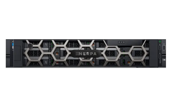 Сервер Nerpa DE 55