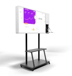 Интерактивные панели BM Storm S (с документ камерой)