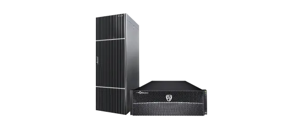 Система хранения данных Русский Щит Omega DF 8006