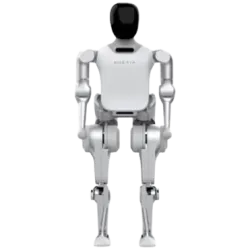 Робот гуманоид Noetix Robotics N2