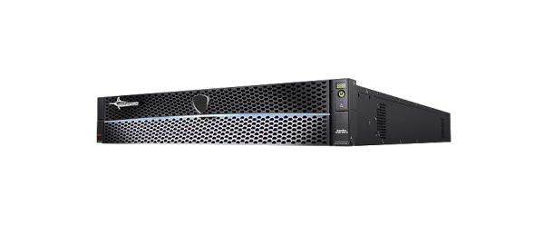 Система хранения данных Русский Щит Omega DF3006