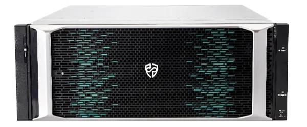 Система хранения данных Русский Щит Sigma DF6300