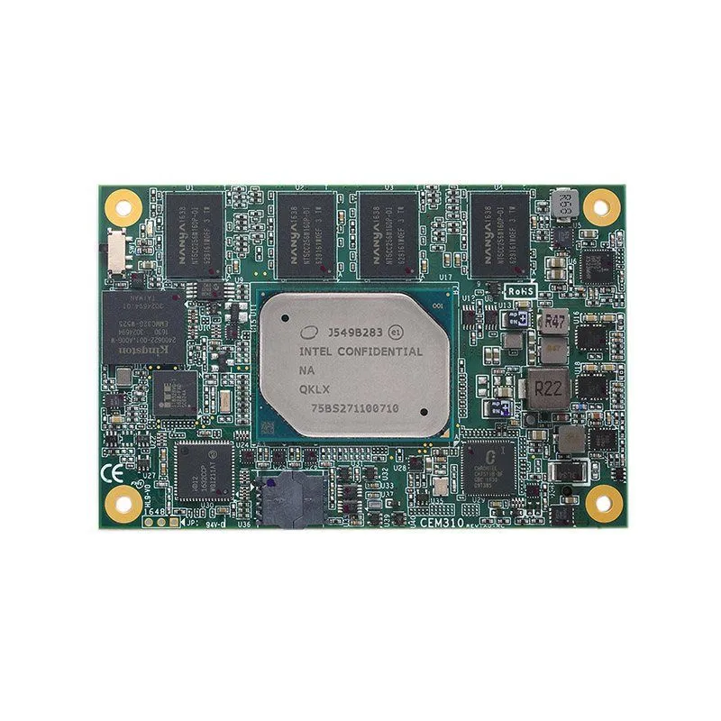 CEM310PG-E3930+4GB
