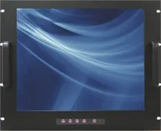 WP-919