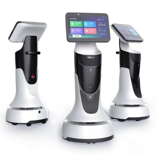Робот OrionStar GreetingBot Mini купить в интернет-магазине Tinvest в ...