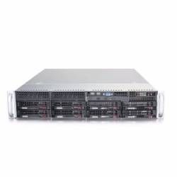 Сервер FORSITE 2U RS2-520-8HS